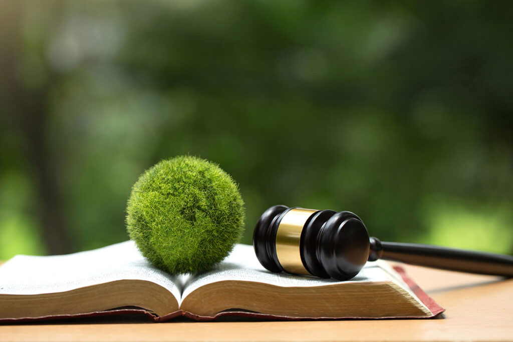 judge gavel and earth ball on book