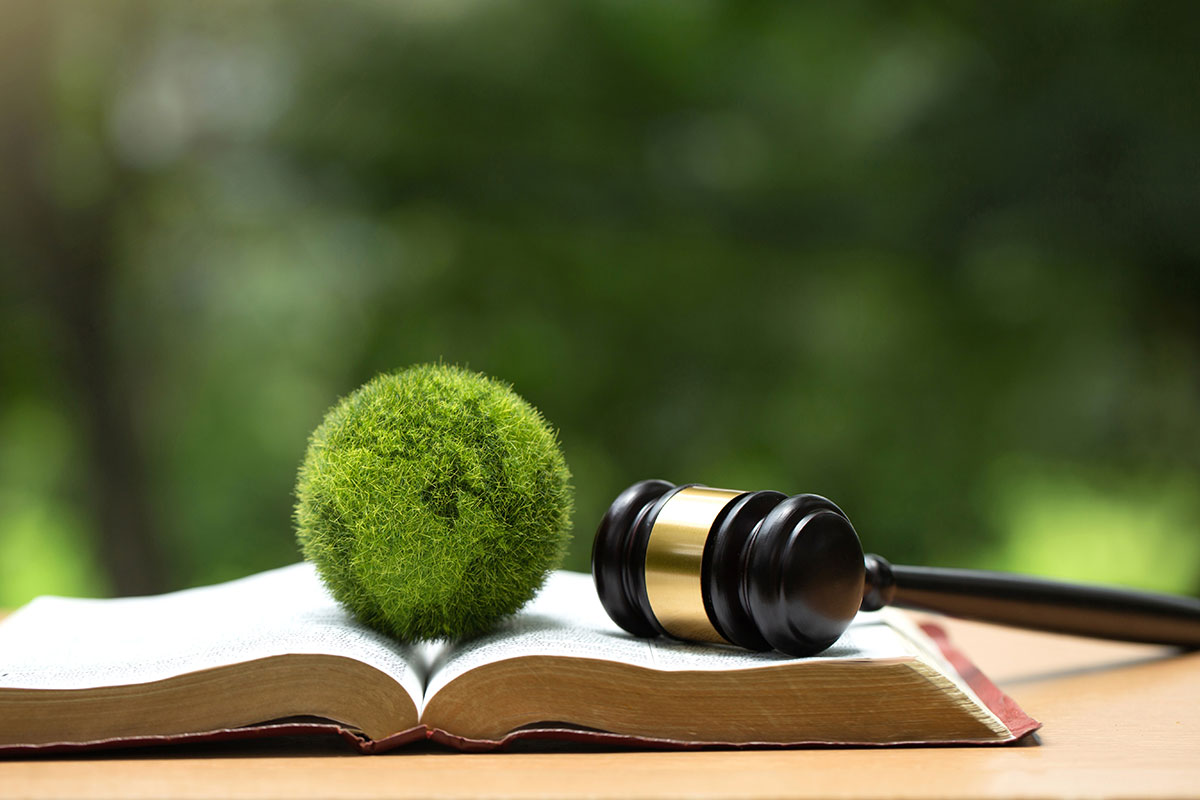 judge gavel and earth ball on book